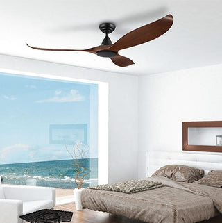 Ceiling Fans