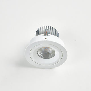 B139L Ø103mm Adjustable LED Downlight