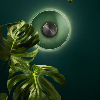 Eclipse 230 Wall Lamp – conceptual shot with foliage and ambient lighting