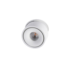 BCA840SR Ø80mm Body Can Adjustable Semi Recessed DL