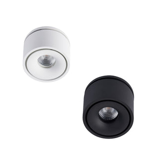 BCA840SR Ø80mm Body Can Adjustable Semi Recessed DL