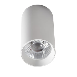 Big Andre 20/28/33w LED Surface Mounted Dimmable Downlight