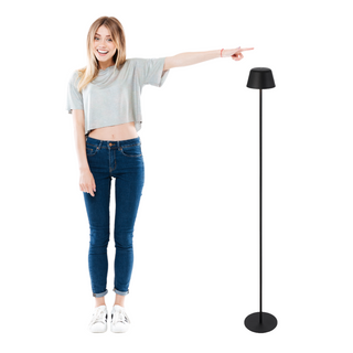 BRIANA RECHARGEABLE FLOOR LAMP