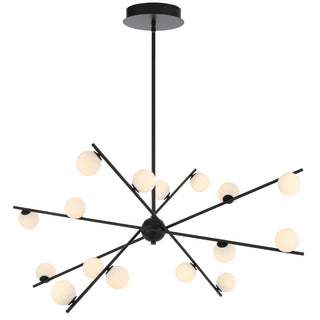 CAPTIVA 16 LIGHT PENDANT - BLACK