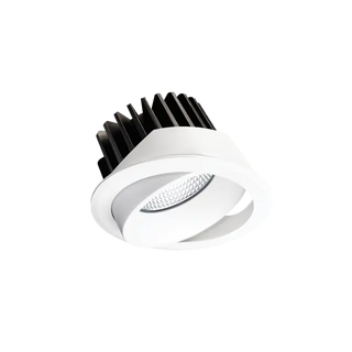 EQ Tilt Downlight