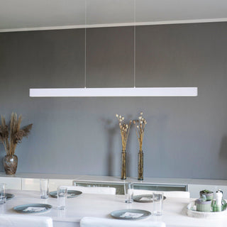 Modern dining area with a long linear pendant light fixture.