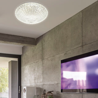 LILAC 40 LED OYSTER by TELBIX from Davoluce Lighting. Trade and wholesale prices for led oyster light fittings Australia, 18w led oyster lights Sydney, 24w LED ceiling oyster lamp Brisbane. davolucelighting.com.au