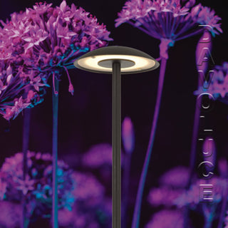 Online specials on lights for driveways - Luc Exterior Spike Post from Telbix, Modern pathway lights. Contemporary Exterior LED bollard lights. Outdoor led bollards on spikes Australia, Havit Bollard Lights