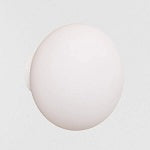 ORB 150mm Ø Opal Glass wall lightUWL-ORB150-WH