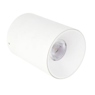 OREN 12W Surface Mounted Downlight