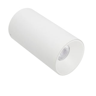 OREN 24W Surface Mounted Downlight