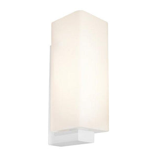 Cougar Lighting  Ramon 1lt Wall Light from Davoluce Lighting