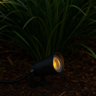 Garden light fixture embedded in the ground with grass and leaves around