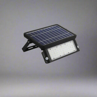Defender 10W Solar LED Flood Light