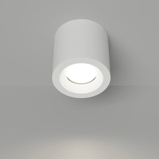 White cylindrical ceiling light on a gray background