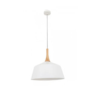 CLA NORDIC: Modern Scandinavian Medium Dome Shape Steel & Wood Pendant Lights