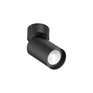 Black cylindrical spotlight on a white background