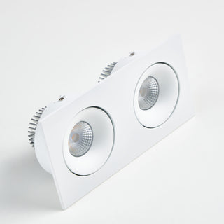 B110S Twin Rectangular Adjustable LED Downlight