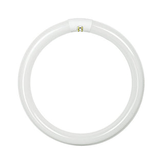 Lusion 32W T9 Circular Fluorescent Lamp 4000K Front View