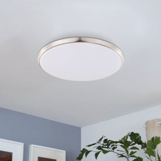 Ceiling light fixture in a room with plants and framed pictures