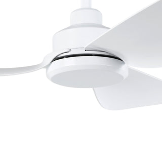 TORQUAY 42" DC Ceiling Fans