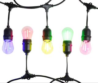 Eglo 205399N FESTOON 10 light LED kit black & multi color