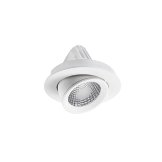 Apex Adjustable Downlight