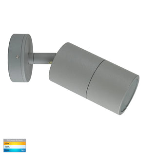 Tivah Adjustable Exterior Wall Light