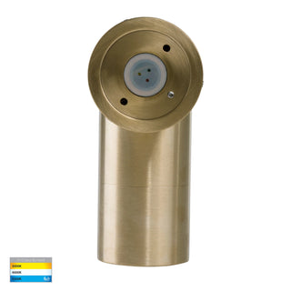 Tivah Adjustable Exterior Wall Light