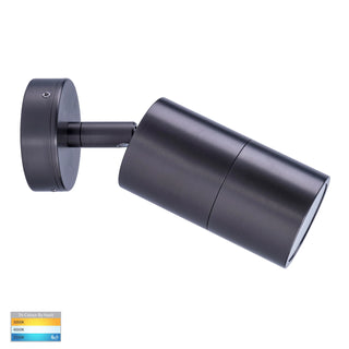 Tivah Adjustable Exterior Wall Light