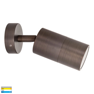 Tivah Adjustable Exterior Wall Light