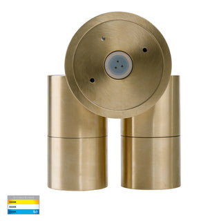 Tivah Double Adjustable Exterior Wall Light