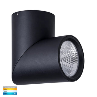 Havit HV5825T-BLK | HV5825T-BLK-12V - Nella Black 24w Surface Mounted Rotatable LED Downlight