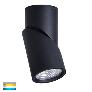 Havit HV5825T-BLK | HV5825T-BLK-12V - Nella Black 24w Surface Mounted Rotatable LED Downlight