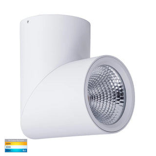 Havit HV5825T-WHT | HV5825T-WHT-12V - Nella White 24w Surface Mounted Rotatable LED Downlight