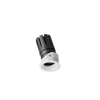 ION R Adjustable Downlight