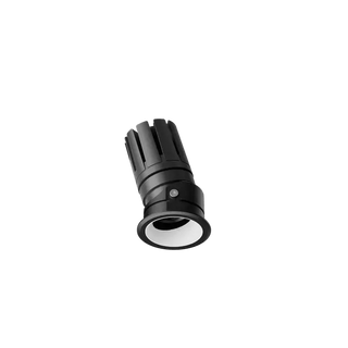 ION R Adjustable Downlight