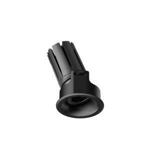 ION R Adjustable Downlight