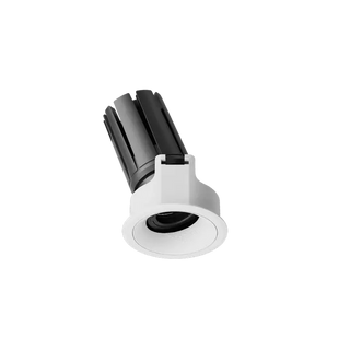 ION R Adjustable Downlight