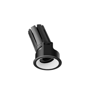 ION R Adjustable Downlight