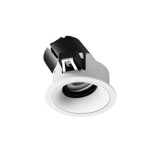 ION R Adjustable Downlight