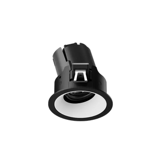 ION R Adjustable Downlight