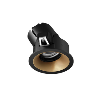 ION R Adjustable Downlight