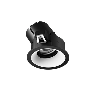 ION R Adjustable Downlight