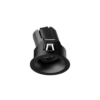 ION R Adjustable Downlight