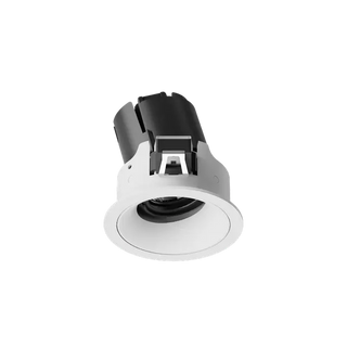 ION R Adjustable Downlight