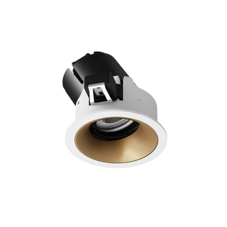 ION R Adjustable Downlight