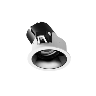 ION R Adjustable Downlight