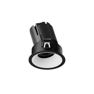 ION R Adjustable Downlight