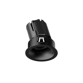 ION R Adjustable Downlight